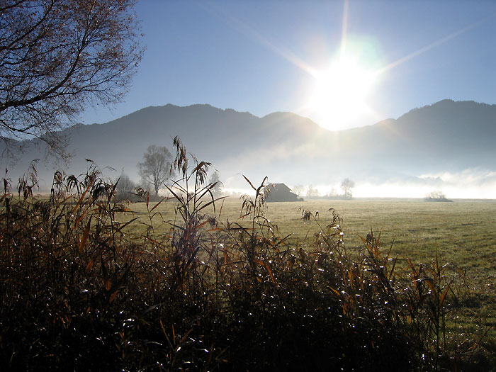 „Morgentau“  - ein Herbstmorgen bei Schlehdorf im LK Bad Tölz-Wolfratshausen