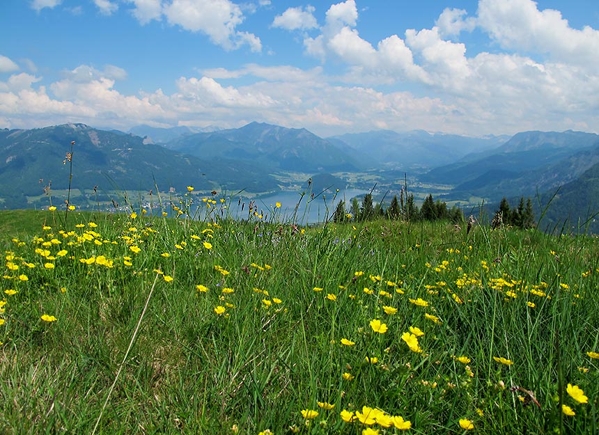 Bergtour - Breitenberg