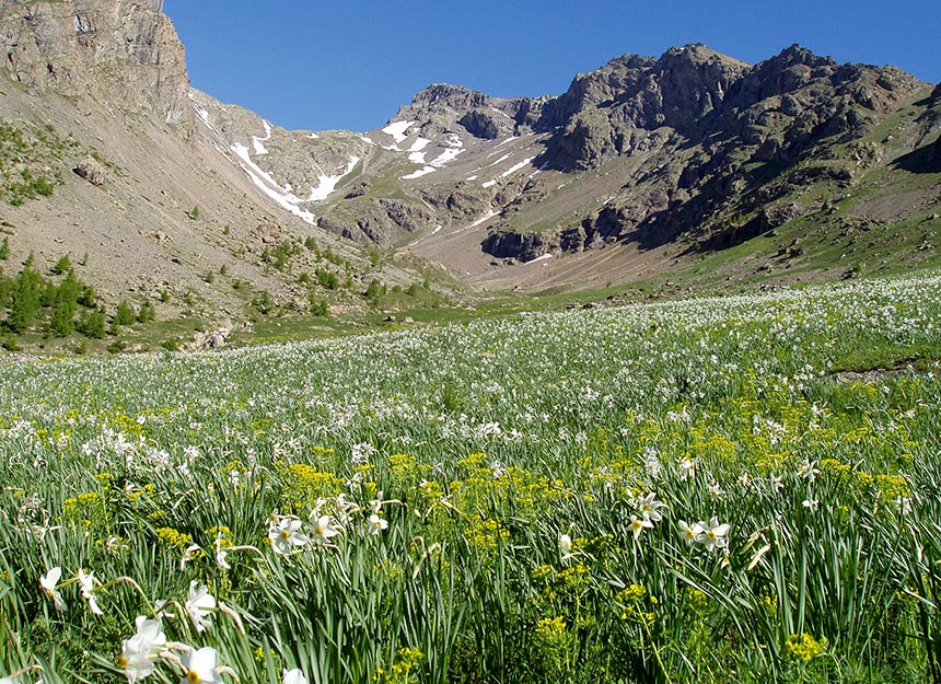 Bergtour - Col des Grangettes