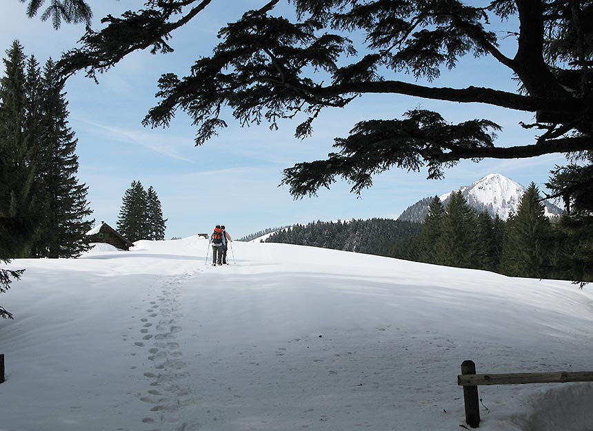 Skitour - Fockenstein