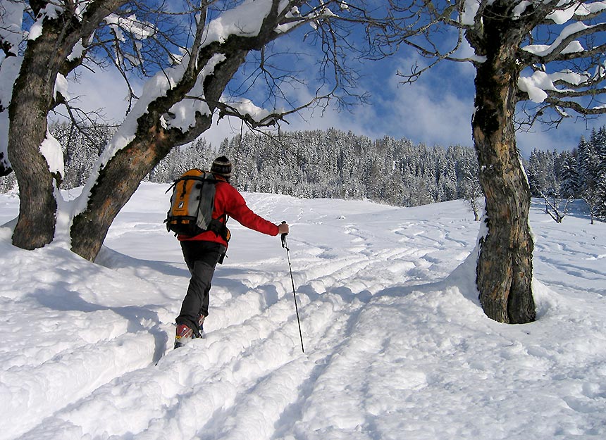 Skitour - Gabel (auch Kitzstein)