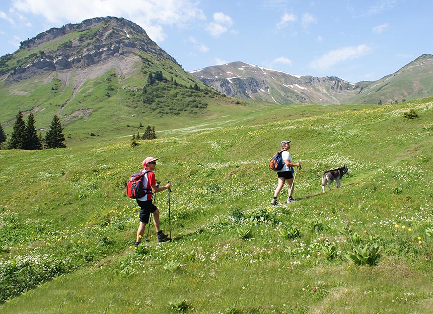 Bergtour - Galtjoch