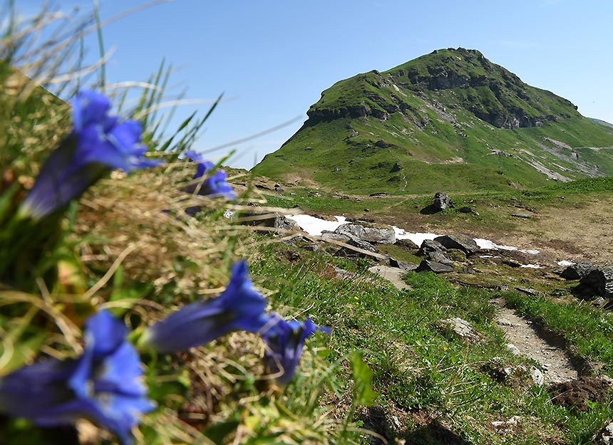 Bergtour - Gamshag - Schützkogel