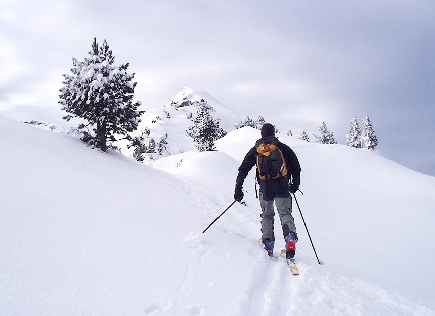 Skitour - Großer Gamsstein