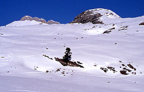 Skitour - Zehnerspitze