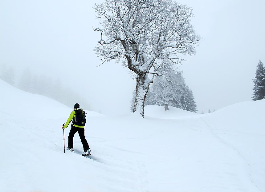 Skitour - Hirschberg Bregenzerwald