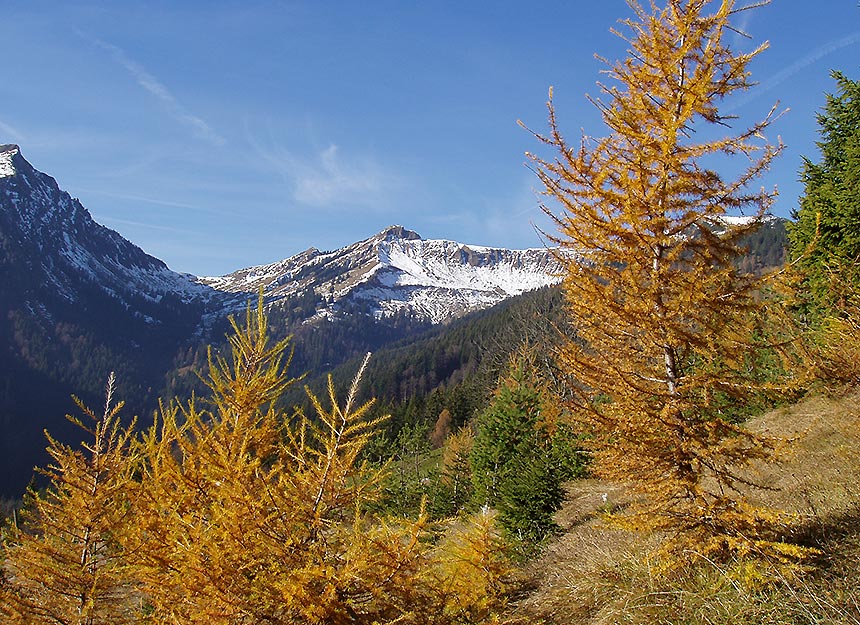 Bergtour - Hochplatte, Achenseer