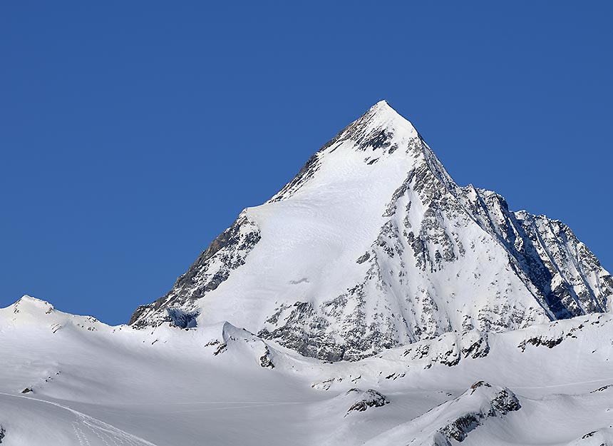 Skihochtour - Königspitze (auch Gran Zebru)