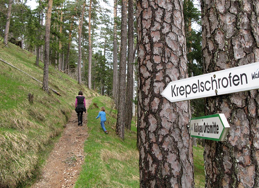Bergtour - Krepelschrofen
