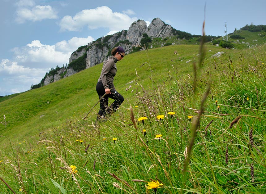 Bergtour - Lacherspitze