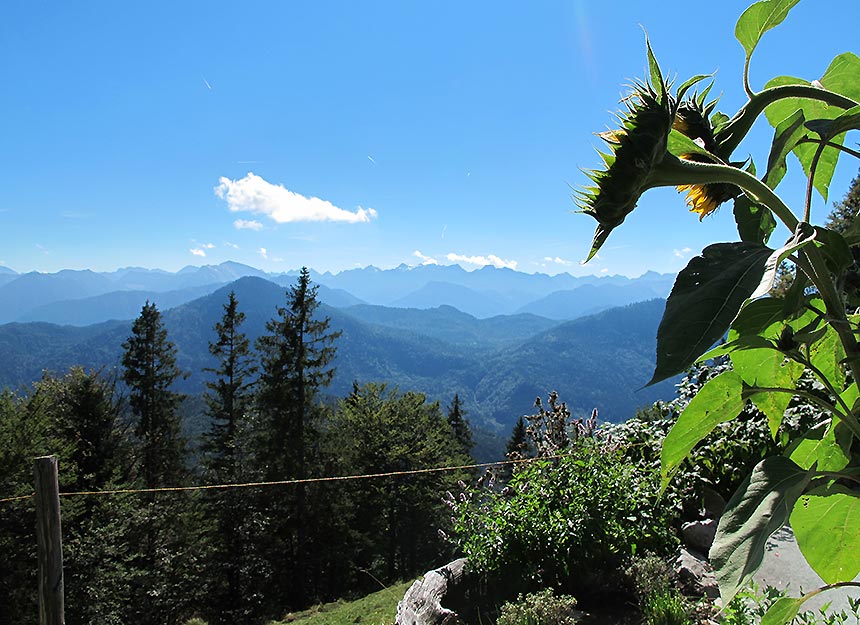 Bergtour - Latschenkopf