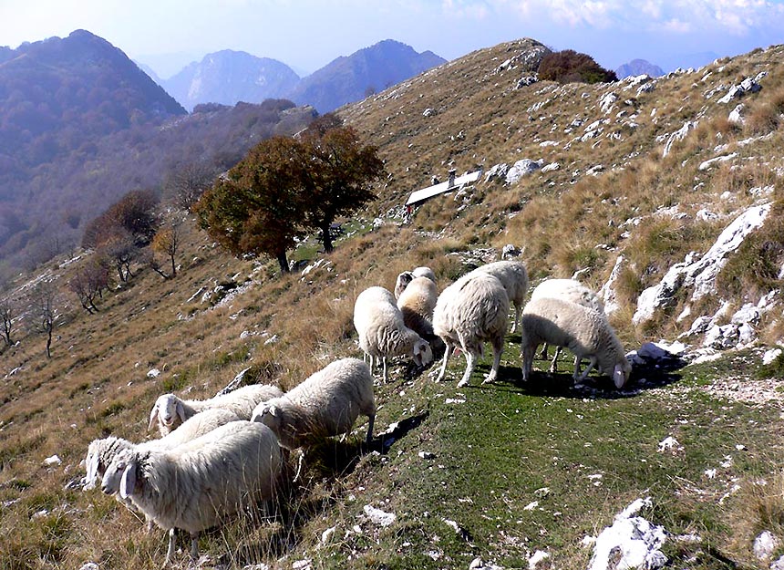 Bergtour - Monte Pizzocolo