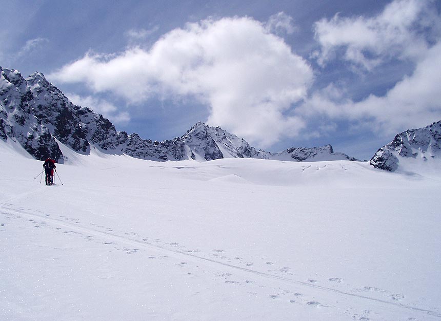 Skihochtour - Murmenteler - Bachfallenferner Scharte