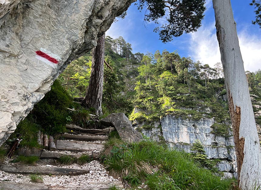 Bergtour - Predigtstuhl