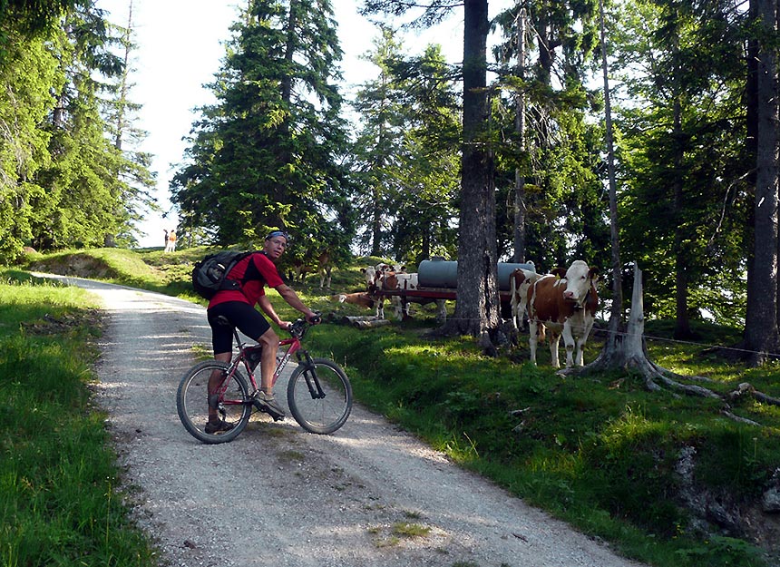 Mountainbiketour - Rabenkopf