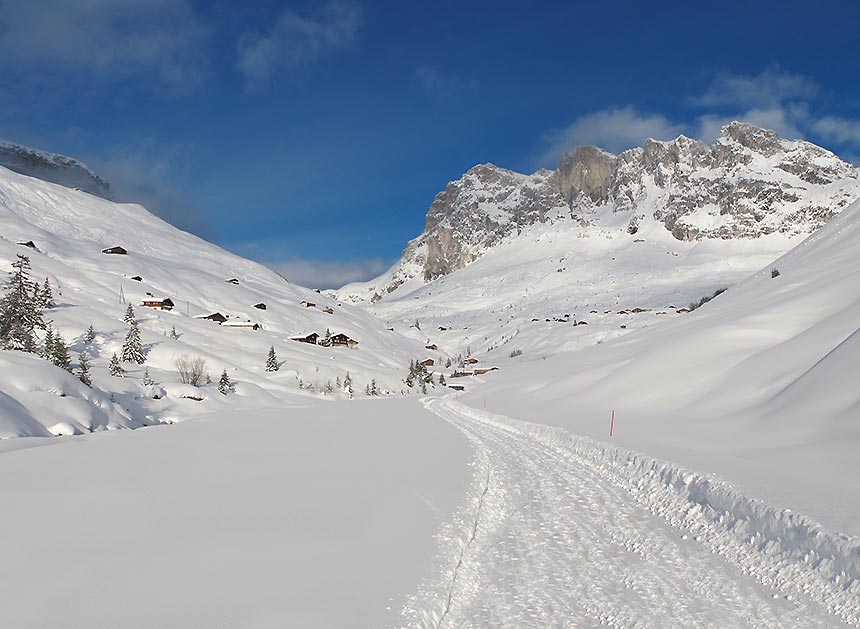 Skitour - Schafberg