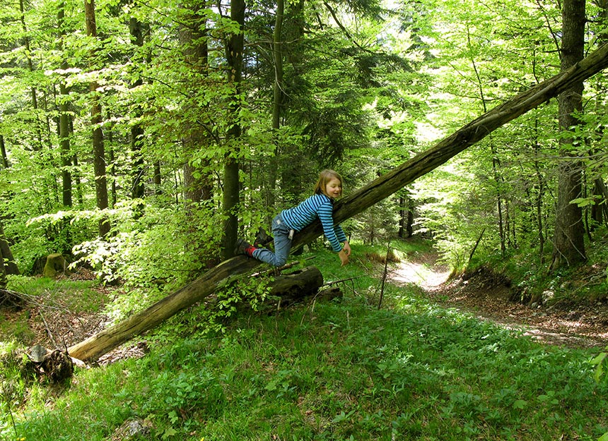 Bergtour - Schafkopf