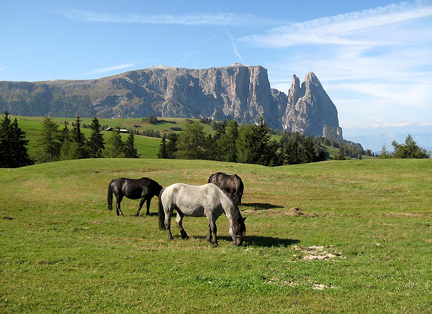 Bergtour - Schlern - Petz