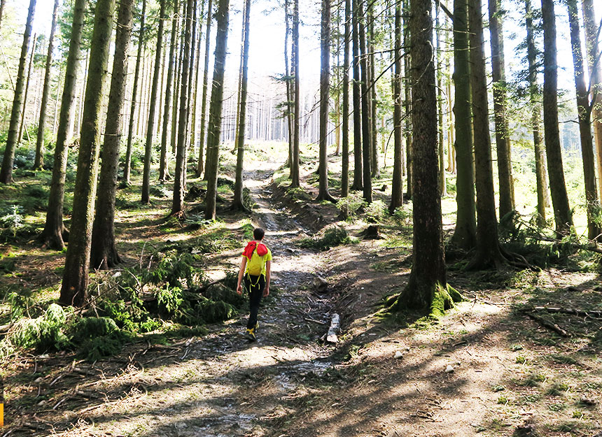 Bergtour - Schliersberg – Rohnberg