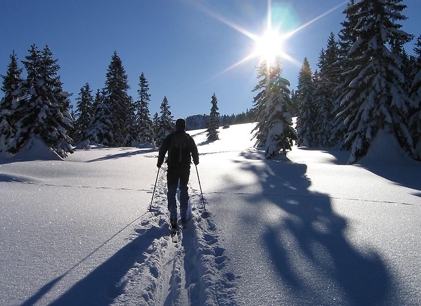 Skitour - Schneidjoch