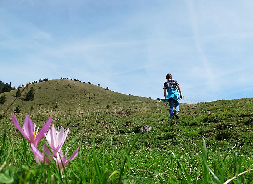 Bergtour - Schreckenkopf