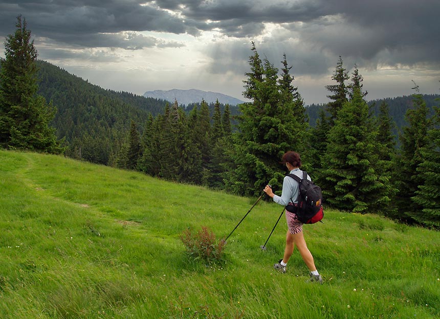 Bergtour - Stallauer-Eck & Kopf - Angerlkopf - Enzenauer Kopf