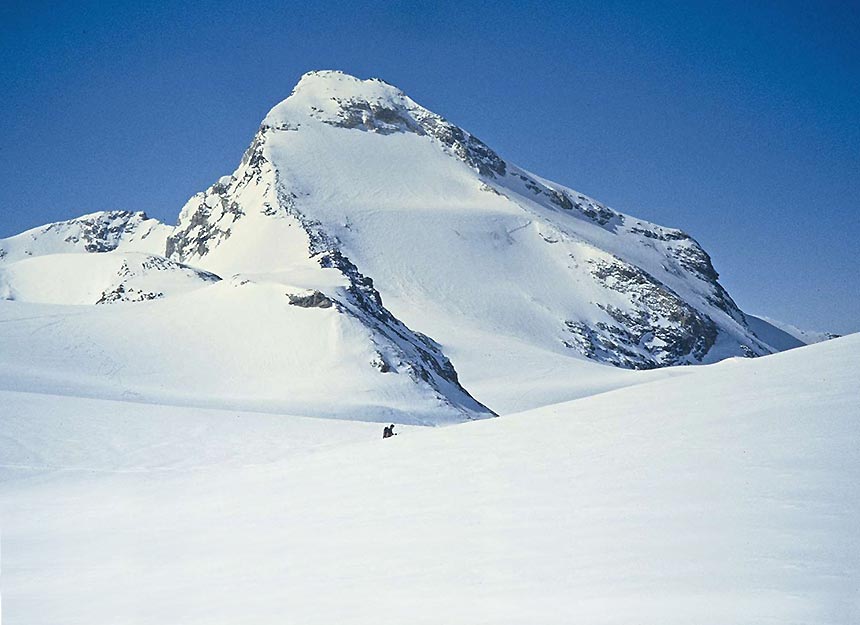 Skihochtour - Tsanteleina