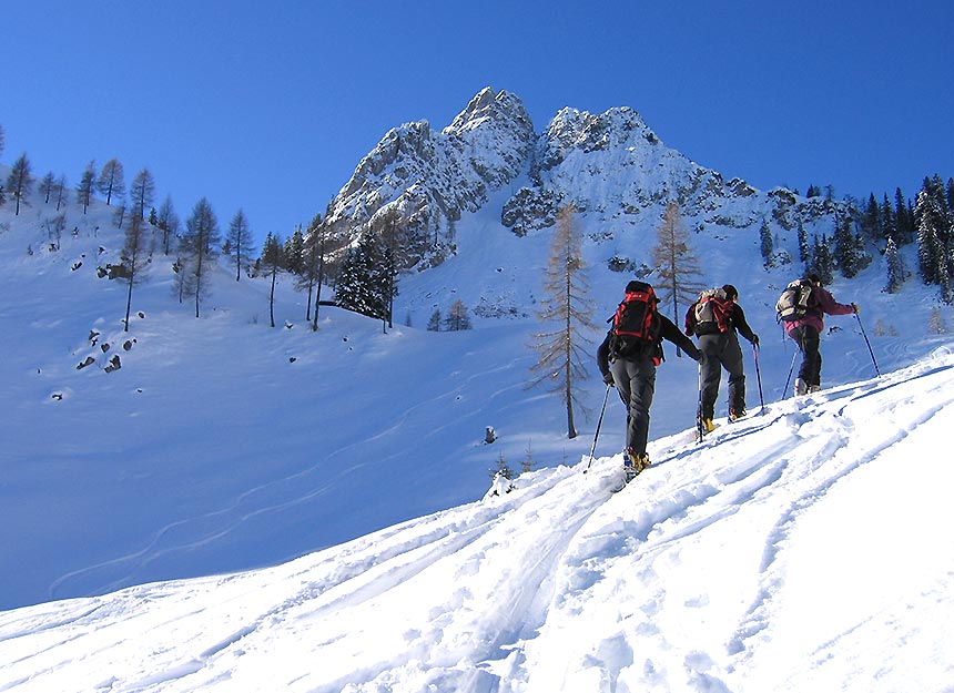 Skitour - Walchseer Heuberg