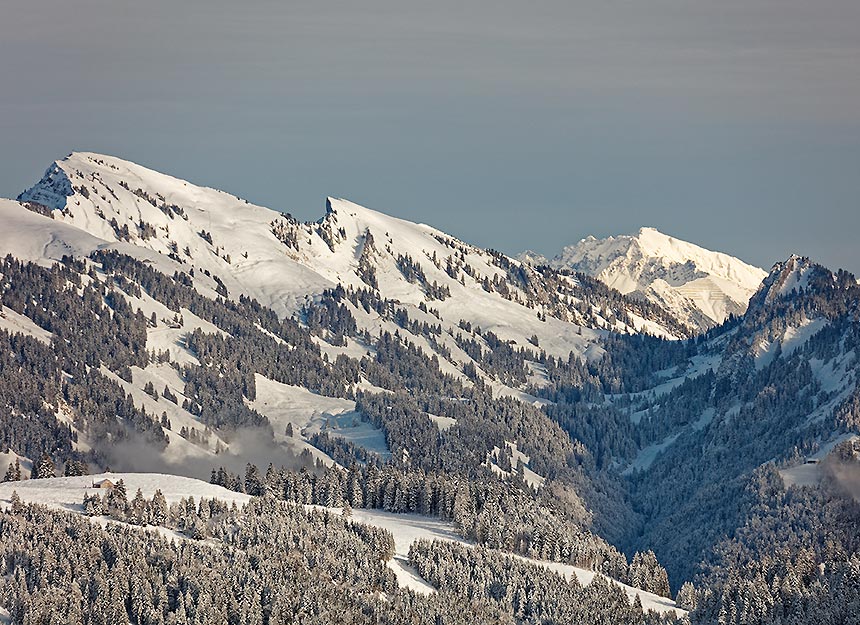 Skitour - Winterstaude