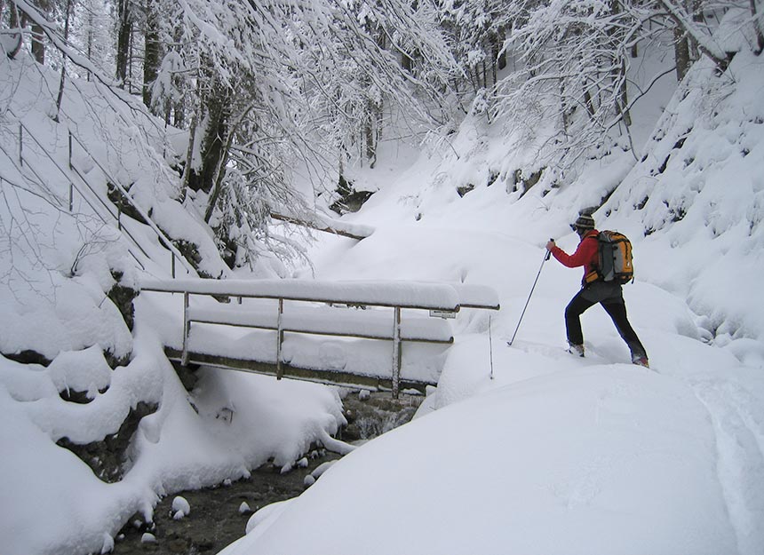 Skitour - Zwieselberg