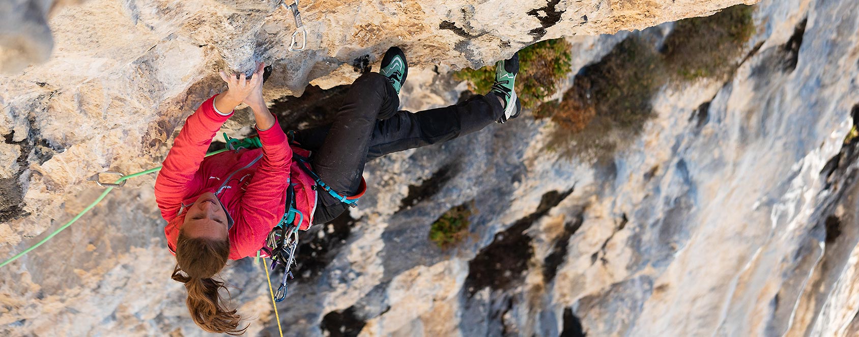 ALI BABA und die EVOLUTION der Anna Stöhr