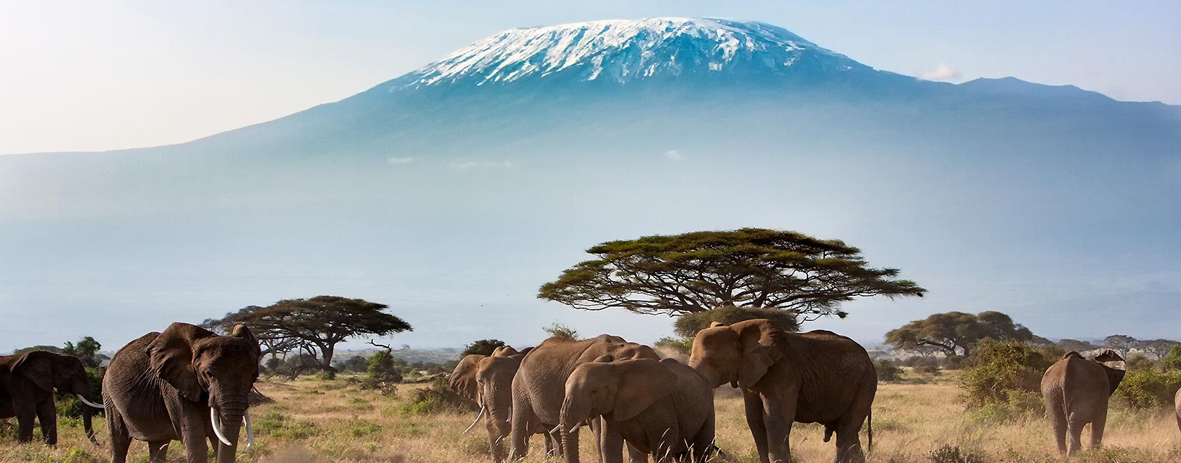 KILIMANJARO - Tansania