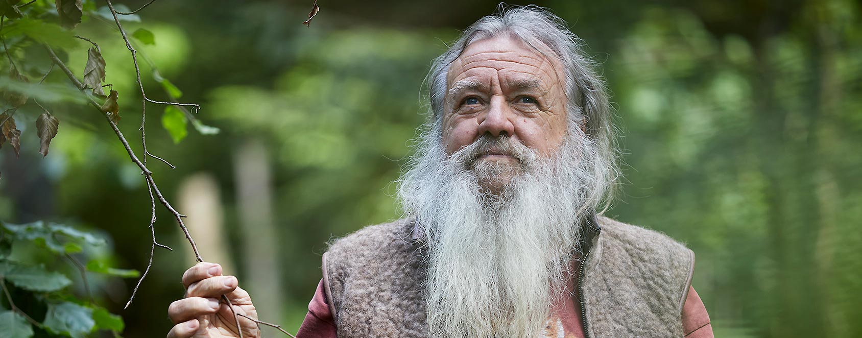 Der mit dem Wald spricht... 
