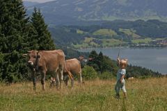 Wandern und baden mit Kindern im Allgäu