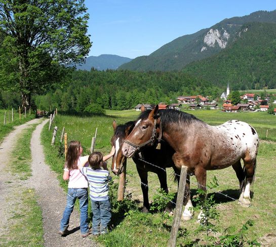 Was Kindern Spaß macht - Tiere zum Beispiel