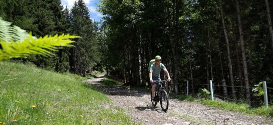 Radln zur Rumer Alm - Bild: Astrid Därr