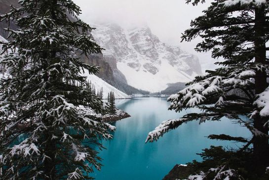 Der Gletscherrandsee Lake Louise mit seinem leuchtend blauen Wasser - Foto: Andreea Chidu Unsplash