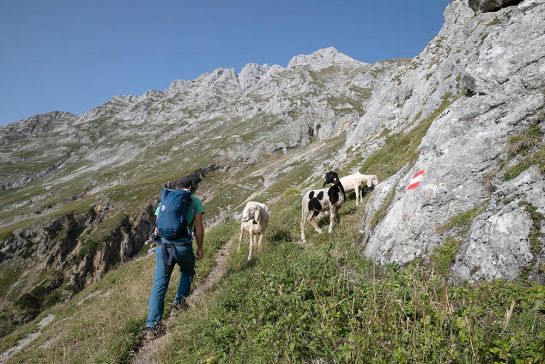 Zustieg zum Südgrat der Vorderen Brandjochspitze