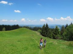 Wandern mit Kindern im Westallgäu