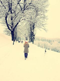 Der Winter verzaubert die Landschaft