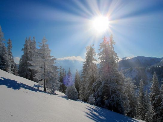 Spitzinggebiet - Winterwanderung mit traumhafter Aussicht
