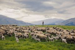 Devold - Erfolgreiche Marke mit Tradition