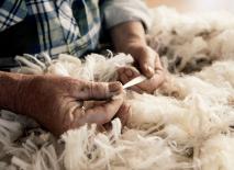 Wollpioniere - DEVOLD OF NORWAY